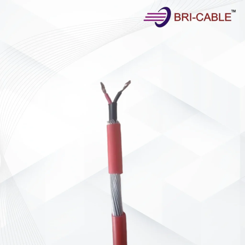 2 Core Armoured Cable